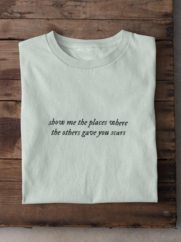 Camiseta Swiftie Personalizada TS